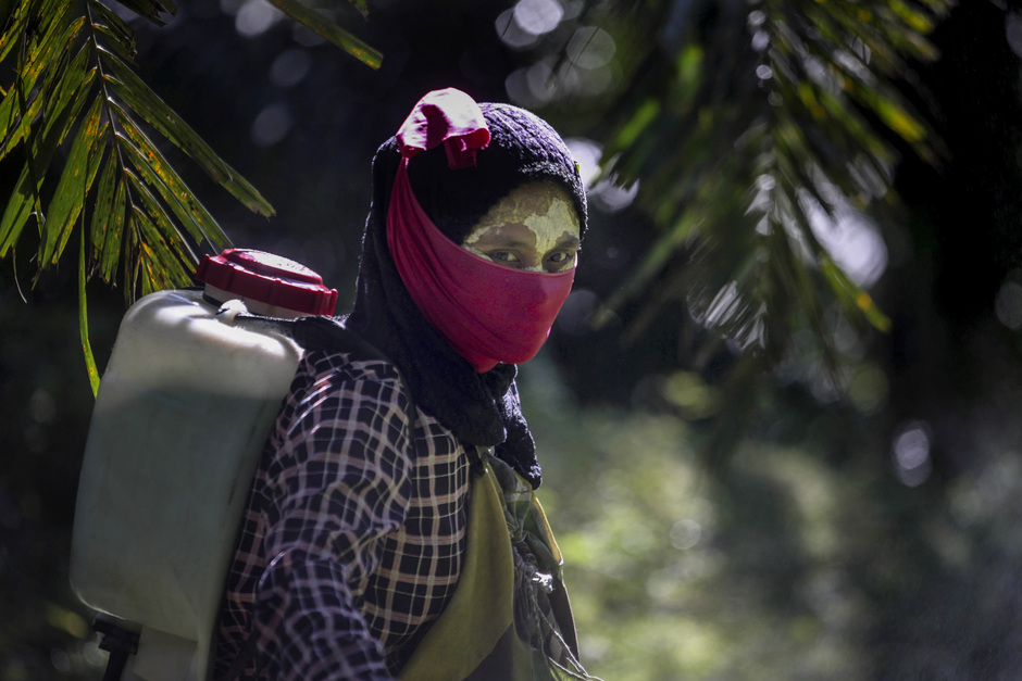 Работница с распылителем пестицидов на плантации масличных пальм в Индонезии