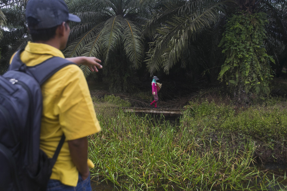 Женщина несет мешок удобрений на плантации масличных пальм в Индонезии